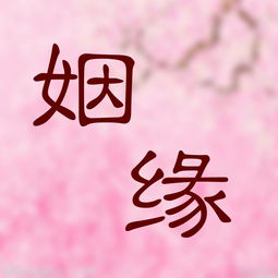 八字性格取像