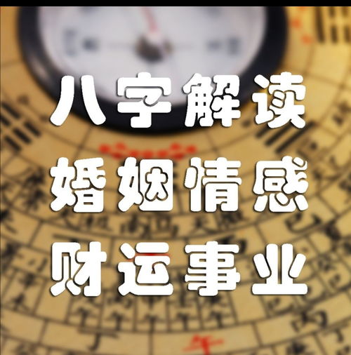 八字查命运免费测算(免费紫微十二宫命格详批)